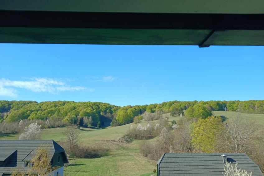 Villa Lika Annex - Double Room with Mountain View 8 - foto 31