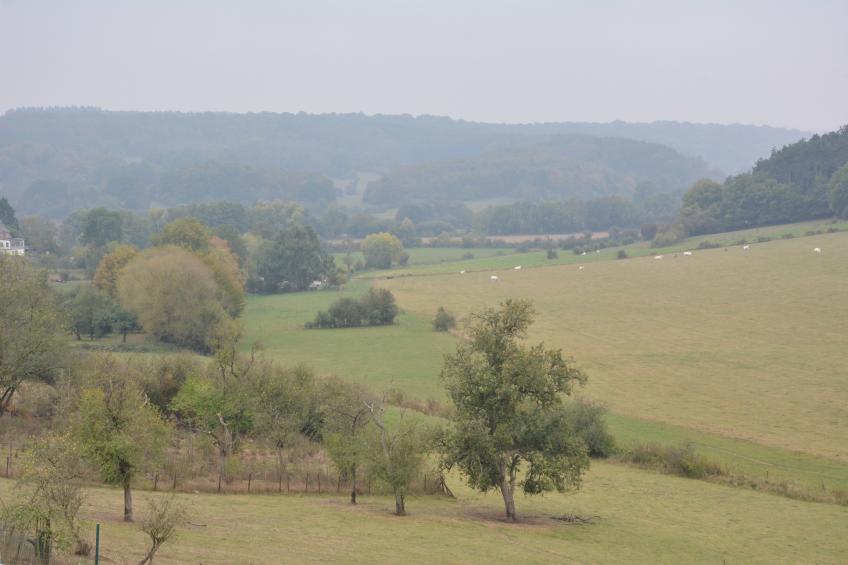 Le Gîte Mariette - foto 23
