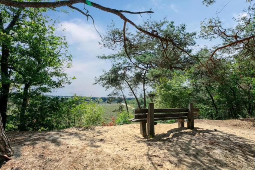 Vakantiepark De Pier - foto 32