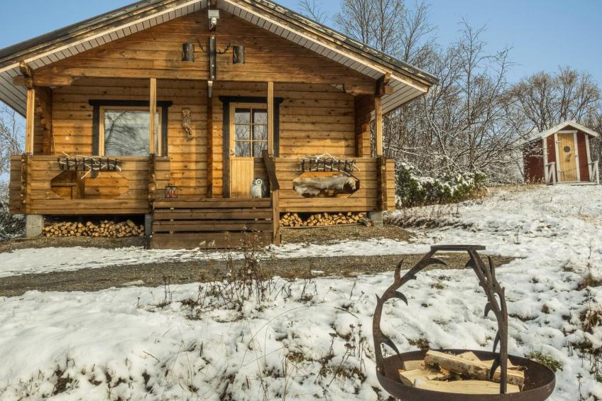 Pikkupöllö - foto 2