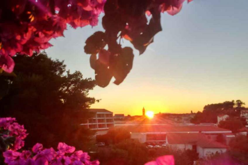Appartement de vacances avec vue sur la mer - BF-FX9JK - foto 3