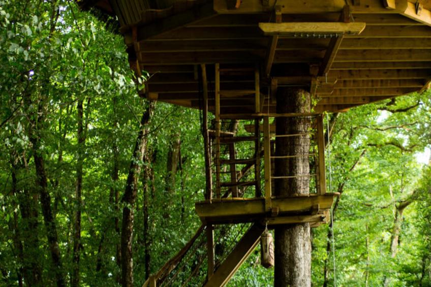 Parc de la Belle - foto 18