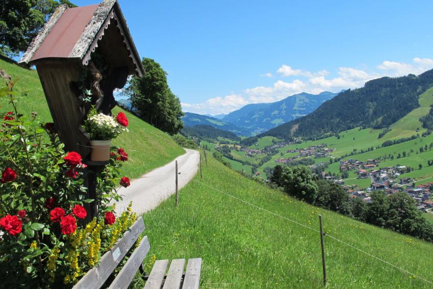 Familienglück - foto 47
