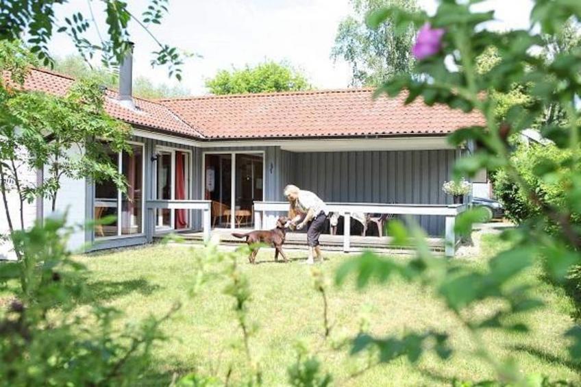 Reiher 24 - foto 7