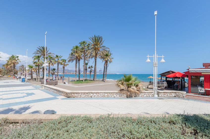 Pacifico Playa - foto 28