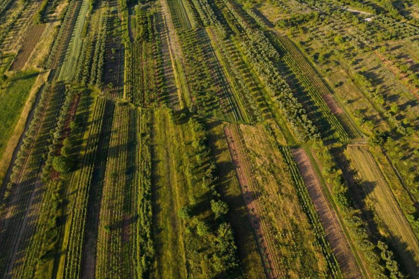 Authentic Villa Storia - foto 50