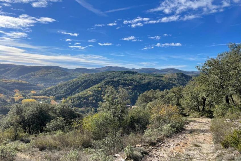 Domaine Courniou - foto 38