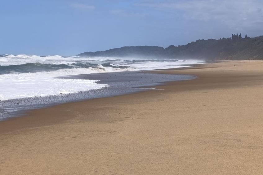 National Park View - foto 22