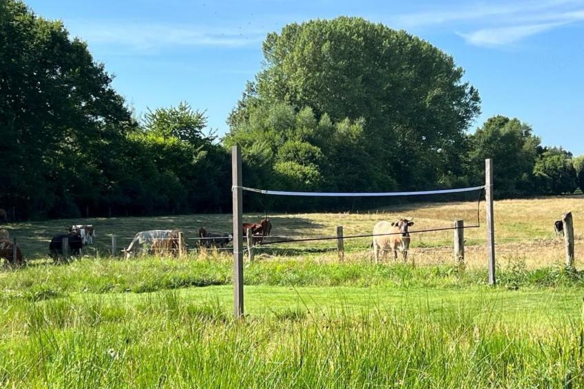 Landhüüs Oeverdiek - foto 33