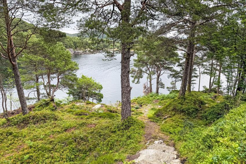 Svanöy (FJS508) - foto 24