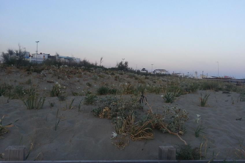 Apartment Zeus Apollo mit mölierter Terrasse - foto 14