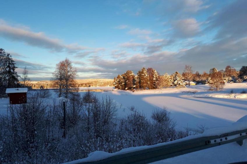 Letafors Herrgård - foto 37