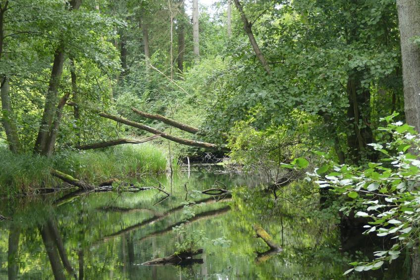 Designerwohnung in denkmalgeschütztem Wasserturm - foto 23