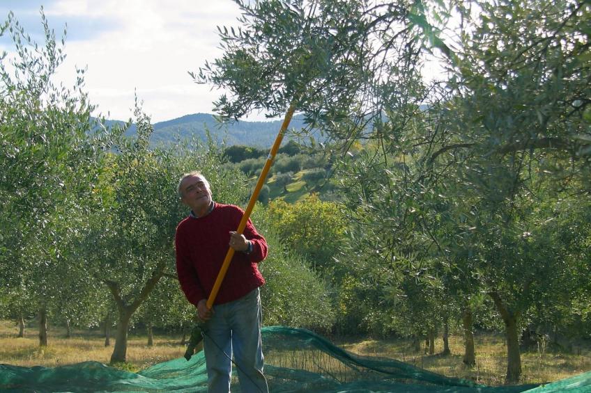 Studio mit Balkonblick ins bergige Grüne - foto 16