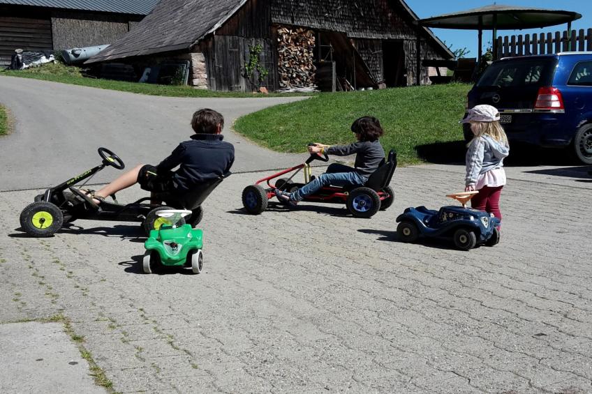 Zuckerbauernhof Weideblick - foto 18
