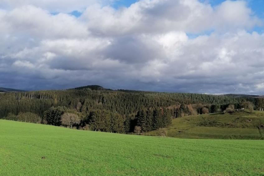 Appartement mit Terrasse - foto 35