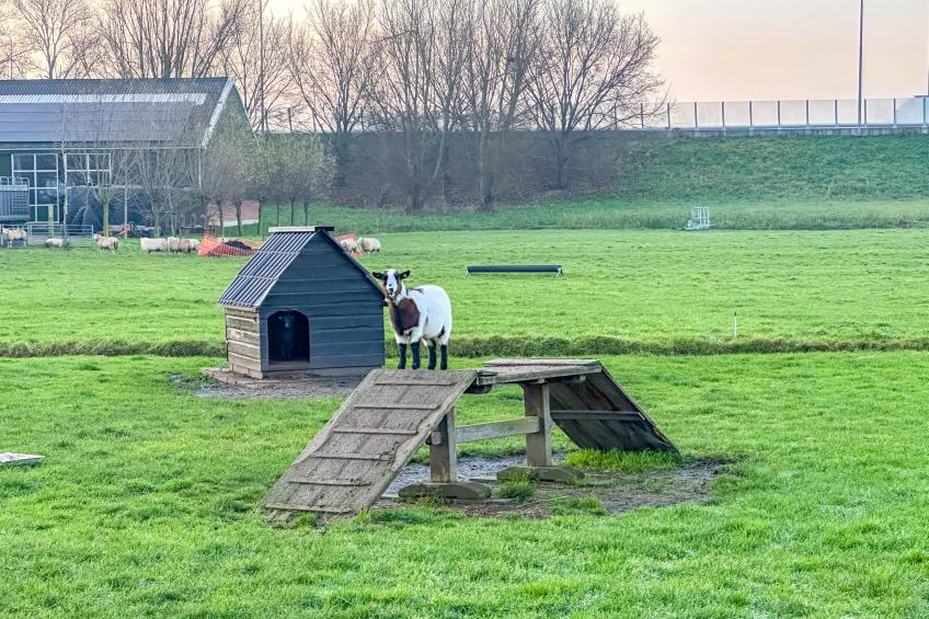 Beets View - foto 31