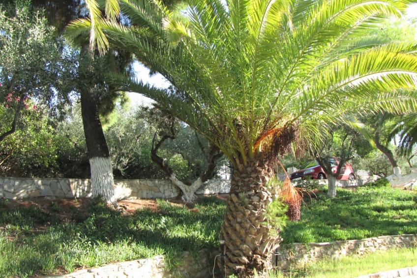 Bungalows für 2-4 Pers. mit Meerblick - foto 45