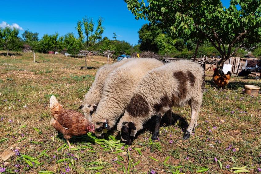 Holiday home Maria - foto 60