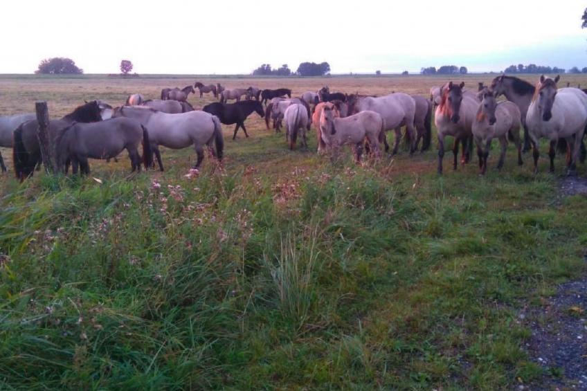 Juwel an der Lagune - foto 28