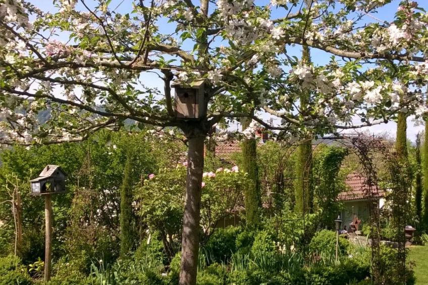 Villa Romantica - foto 29