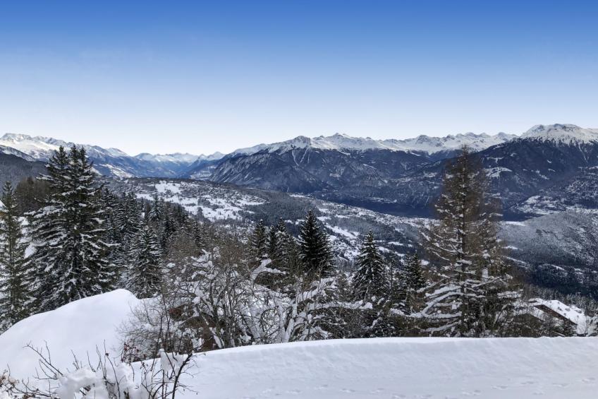 Tiny House facing the Alps - Ski in and out - foto 23