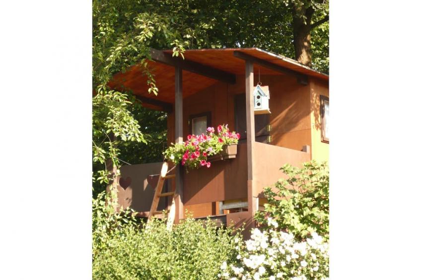 17769 - foto 5