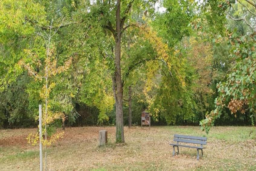 Ecolodge en Sequoia - foto 30