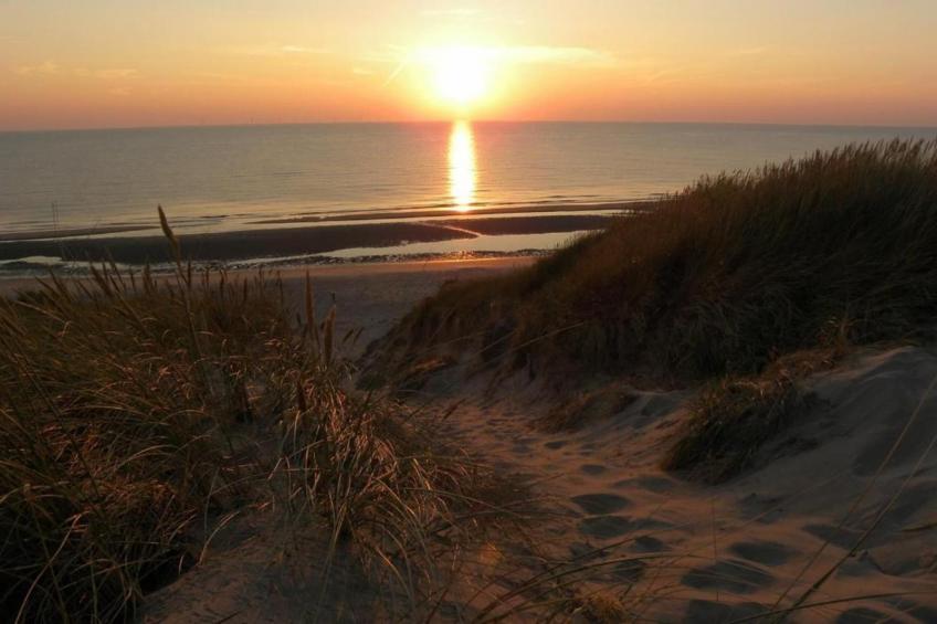 Parel aan de Duinen 6p - foto 37
