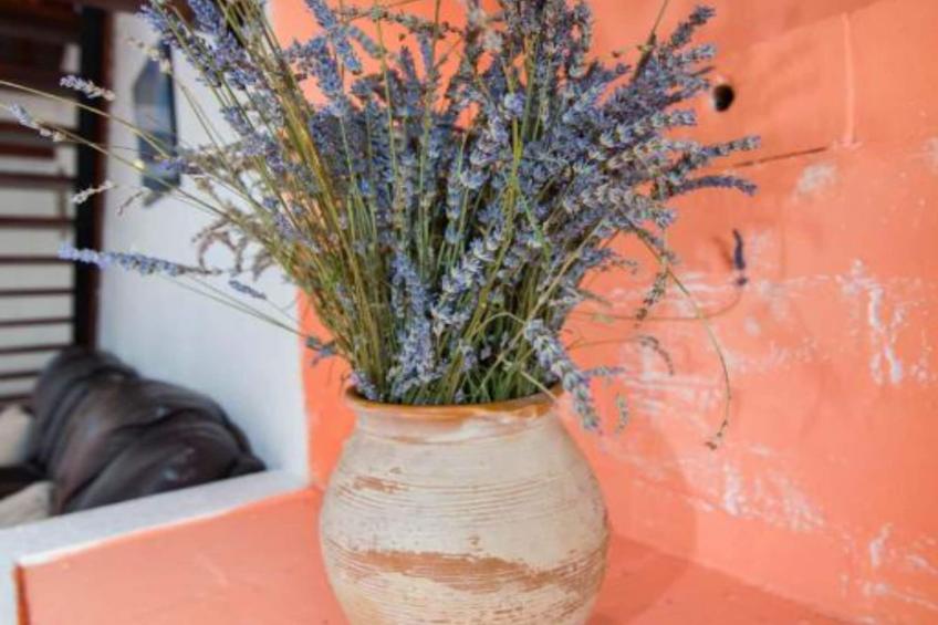 Apartments Bonic - Two Bedroom Apartment (APP 1) - foto 2