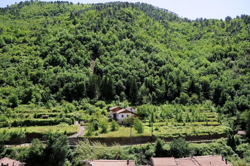Panoramawohnung mit Balkon und Terrasse - foto 2