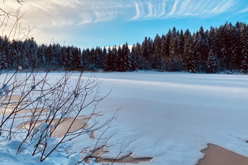 Maison de vacances - LM - foto 50