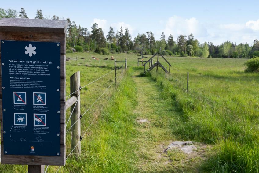 Harge Sörgård (NAK043) - foto 42