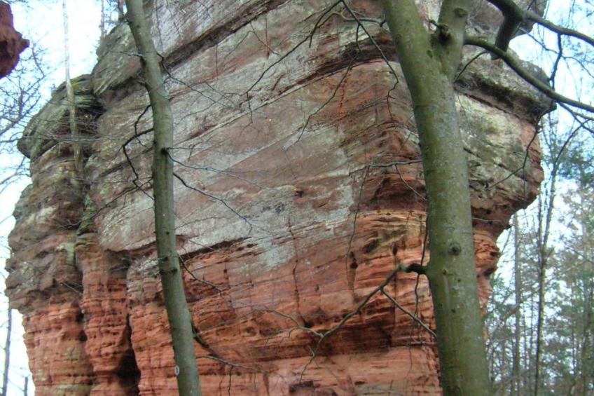 LES BRIMBELLES - foto 23