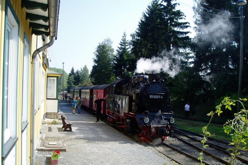 Ferienhaus in Hasselfelde - Haus 509 Auerhahn - foto 15