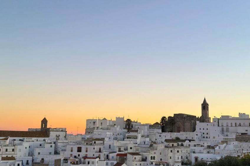 Wohnung mit großer Dachterrasse in Vejer - foto 41