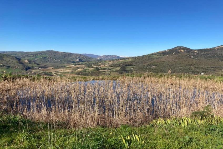 Villa Leonforte - foto 39