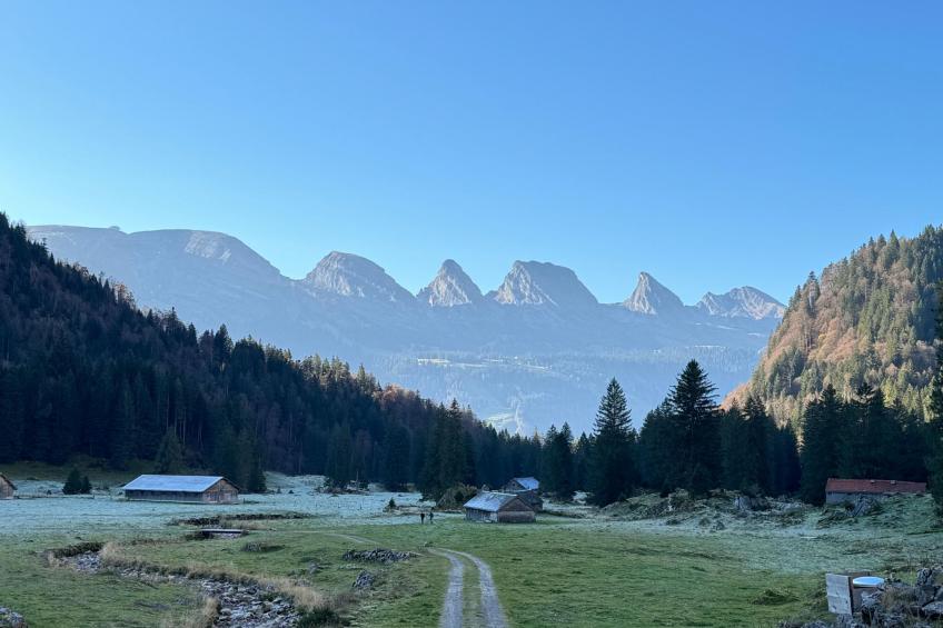 Zwinglis Fewo Klärli - foto 16