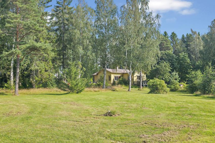 Merenkurkku - foto 27