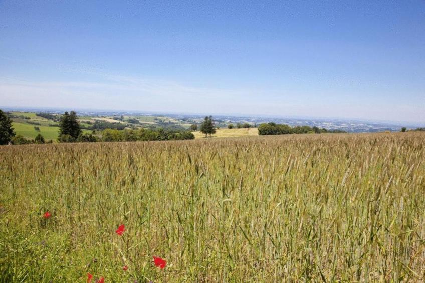 Résidence-Club Le Hameau du Lac - foto 24