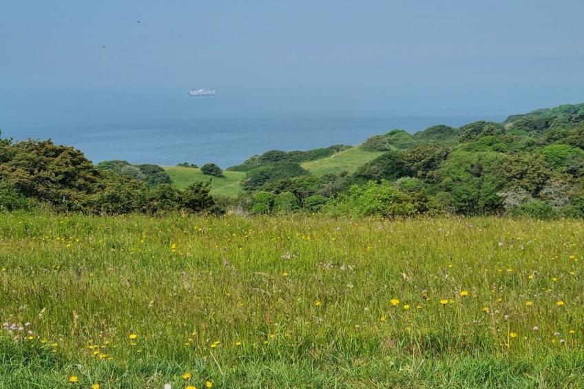 "Miona" - 725m from the sea in Sealand - foto 7