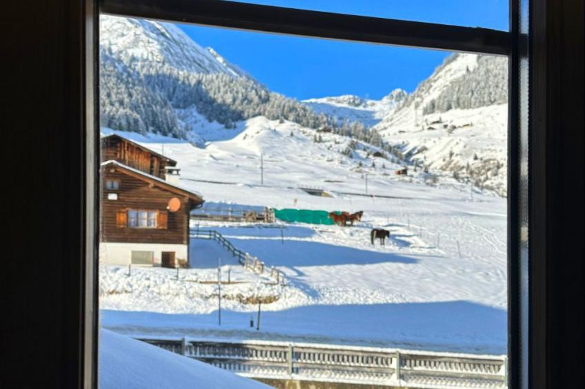 Blue Alpine Lodge - foto 23