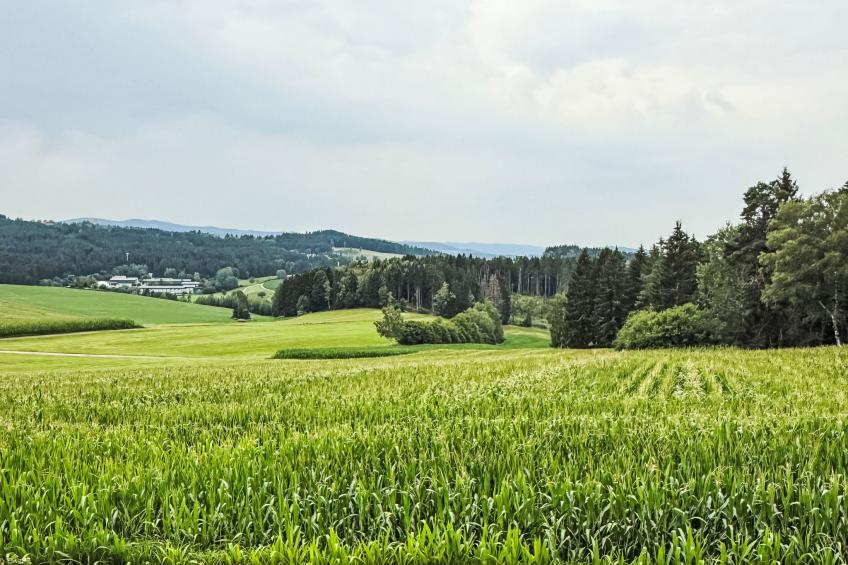Rachel mit herrlichem Ausblick