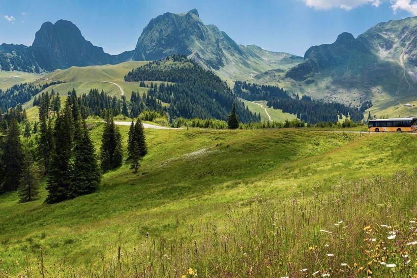 Rückzugsort mitten in der Natur - foto 11