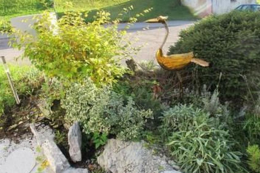 Top Ferienhaus - foto 15