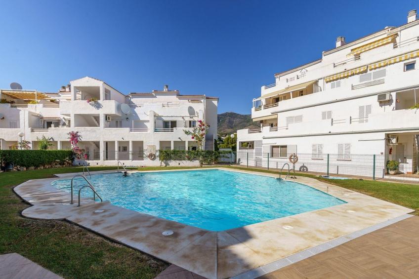 Bamboo Garden - CT 109