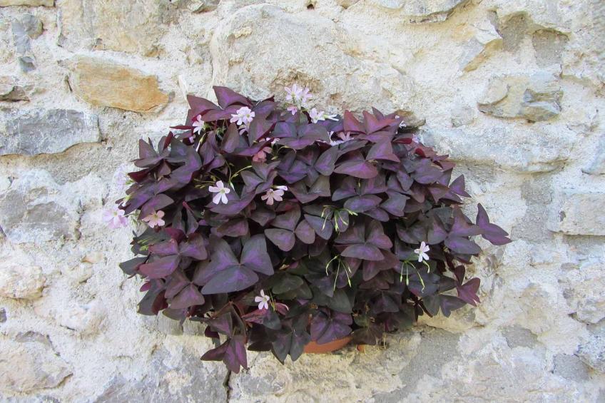 Geräumiges Ferienhaus inmitten der Natur - foto 17