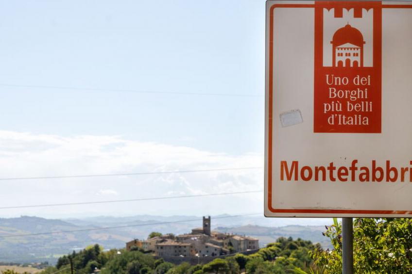 La Pineta Holiday Homes - foto 32