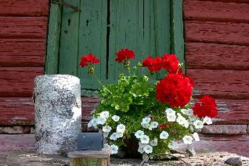 Villa vuorenpää - foto 30