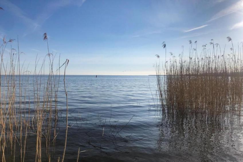 Schlafen unter Reet - Naturhof - Ahlbeck am Haff / Nr 1 - foto 26